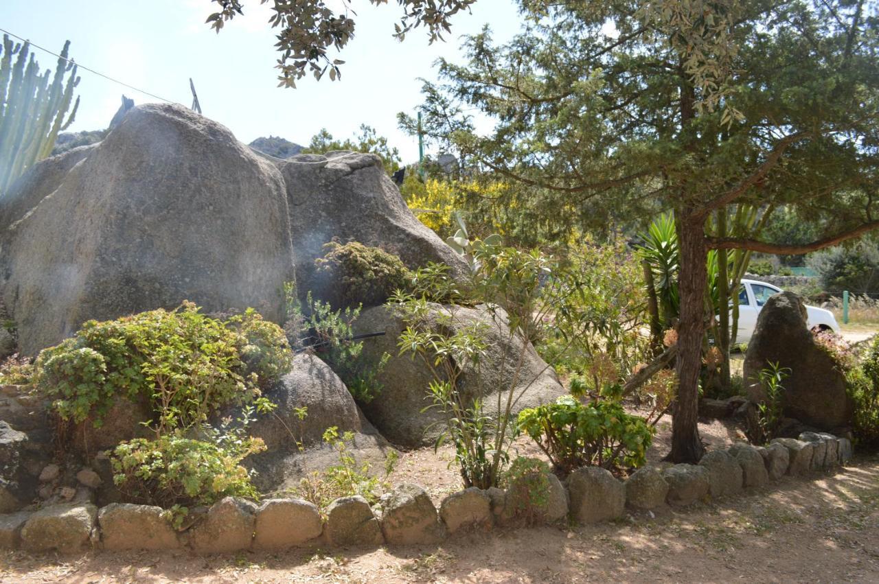 Casa Maltinu Holiday home *