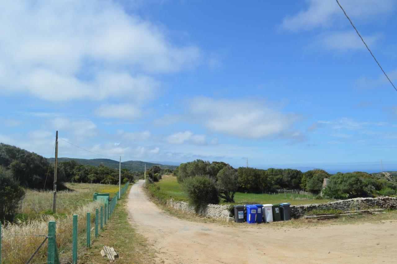 Casa Maltinu Holiday home *