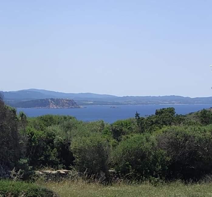 Holiday home Casa Maltinu *
