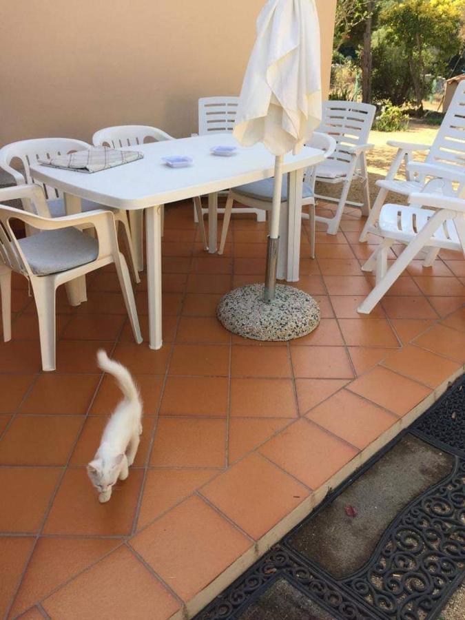 Casa Maltinu Ferienhaus Santa Teresa Gallura