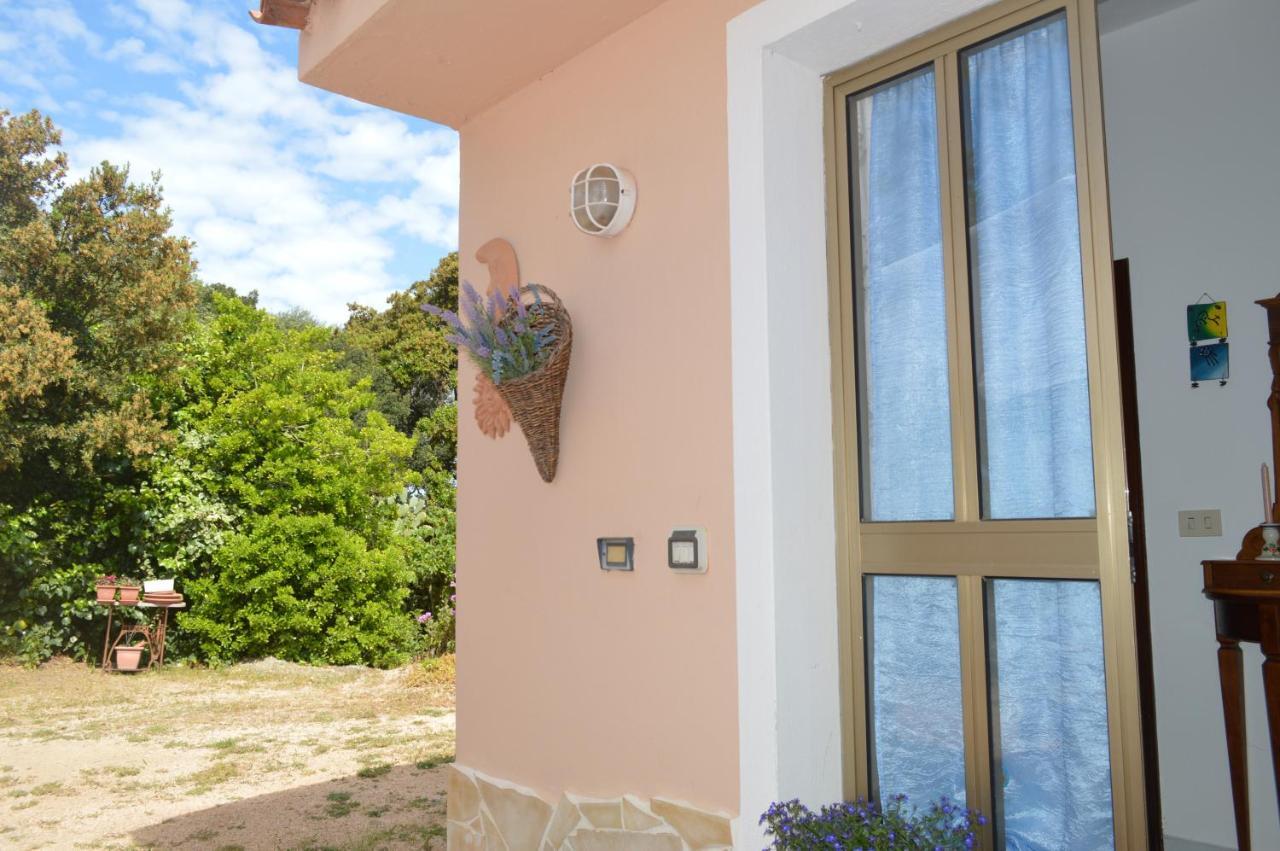 Casa Maltinu Ferienhaus
