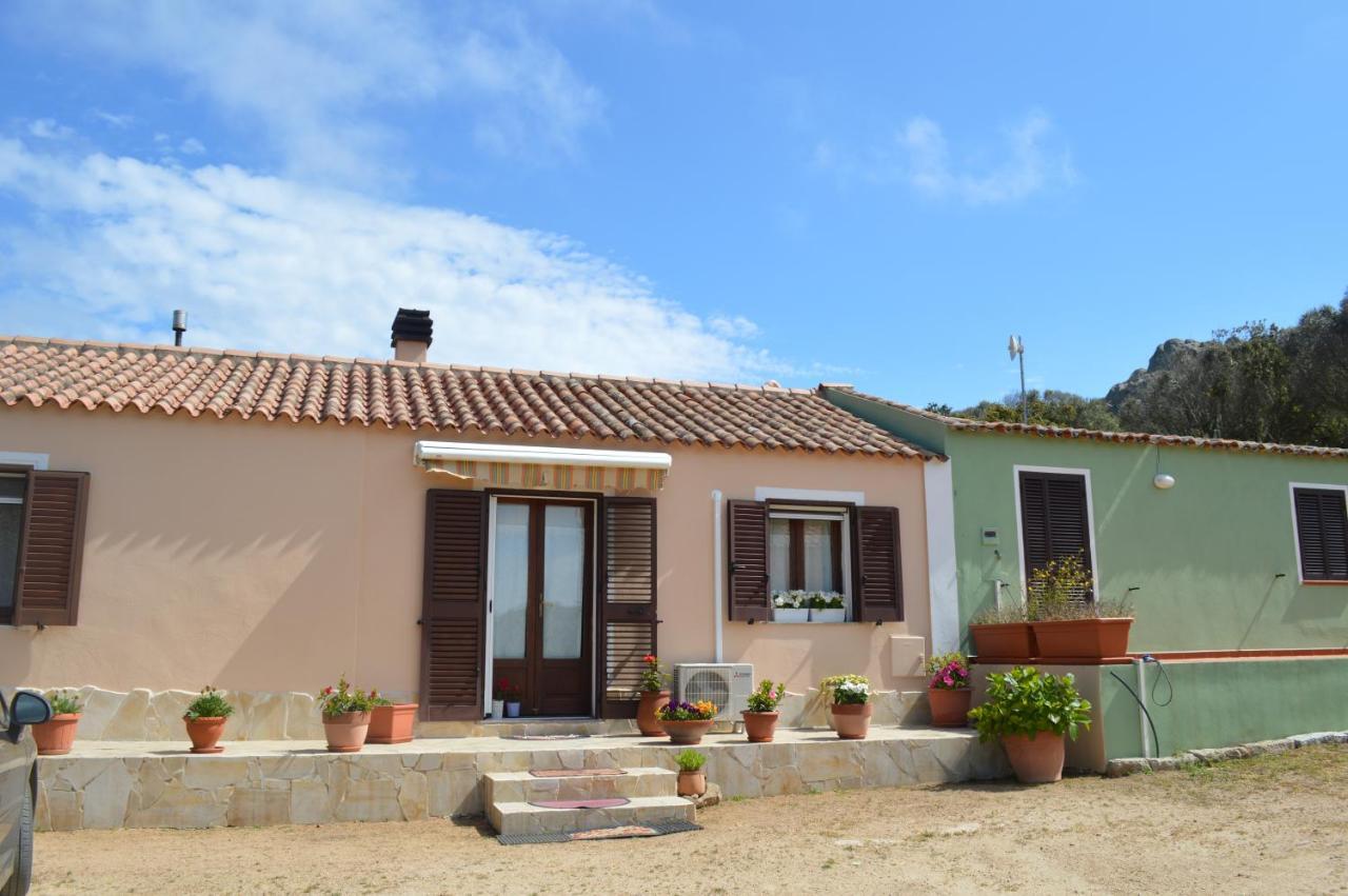 Casa Maltinu *